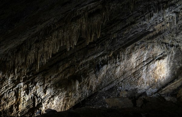 Comment organiser un séjour en Dordogne avec des ateliers de peinture et des visites de grottes préhistoriques?